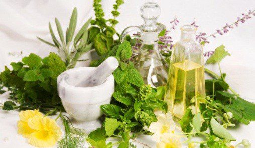 Шведска горчивка на Мария Требен: Компреси, приложение при рак