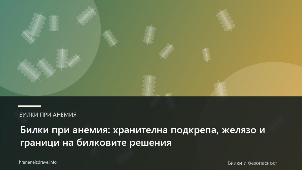 Билки при анемия: хранителна подкрепа, желязо и граници на билковите решения