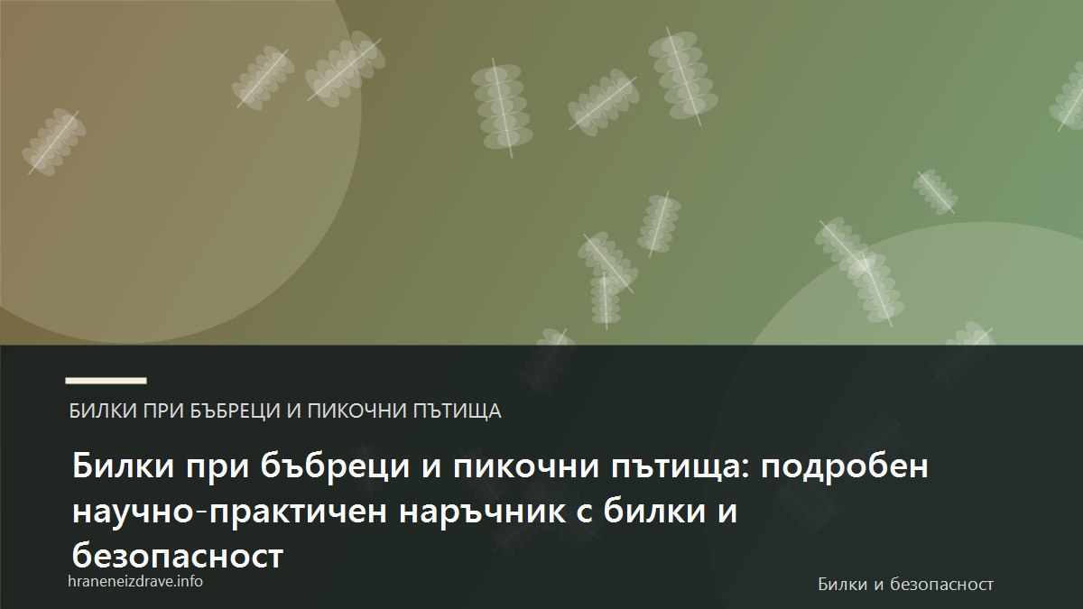 Билки при бъбреци и пикочни пътища: подробен научно-практичен наръчник с билки и безопасност