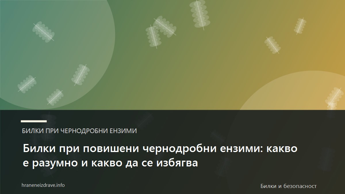Билки при повишени чернодробни ензими: какво е разумно и какво да се избягва